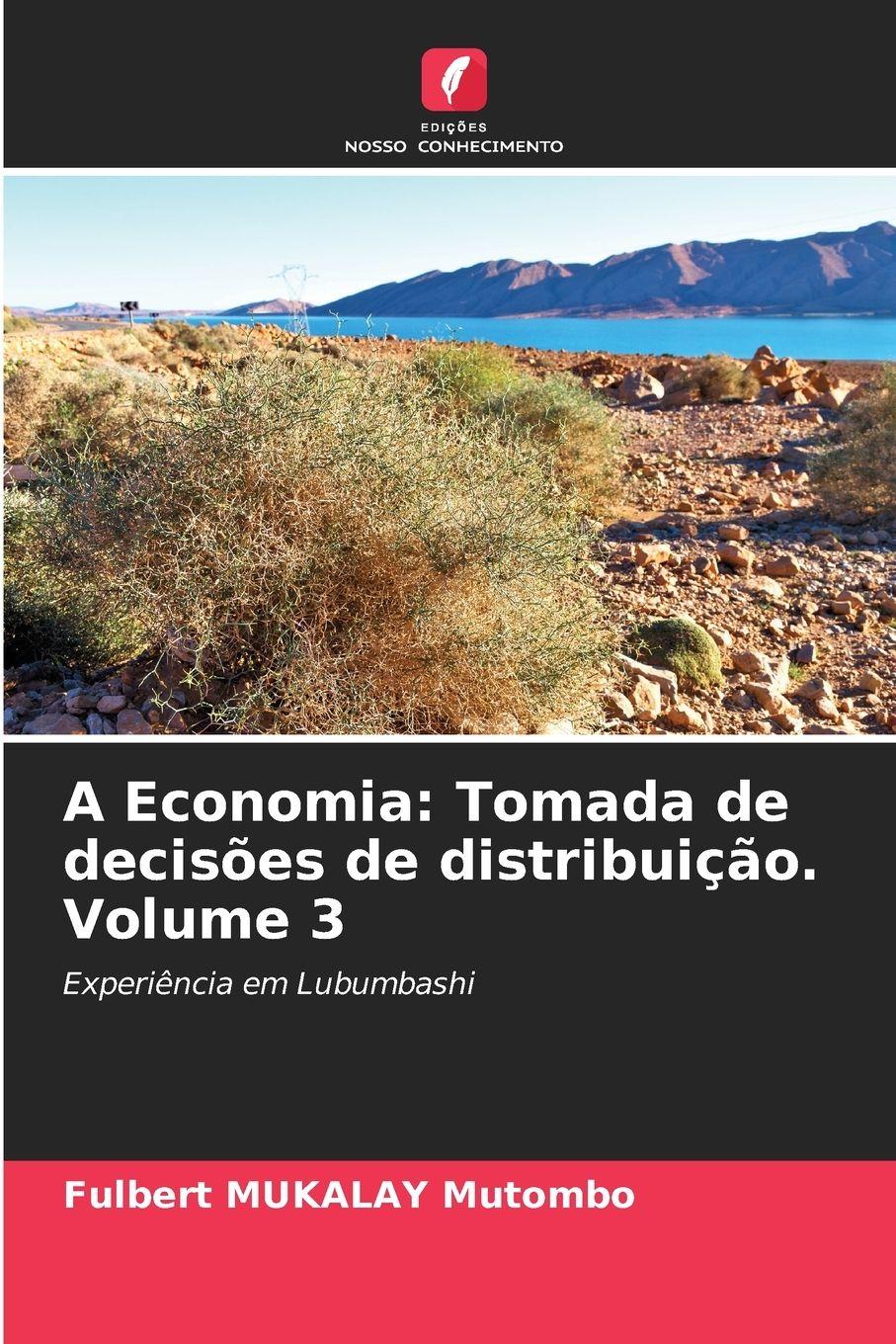 Vorderes Coverbild A Economia: Tomada de decisões de distribuição. Volume 3