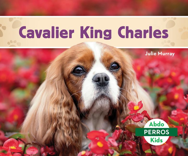 Vorderes Coverbild Cavalier King Charles (Cavalier King Charles Spaniels)