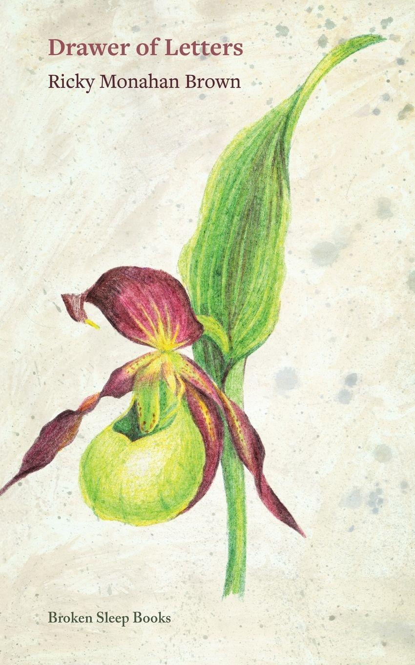 Vorderes Coverbild Drawer of Letters