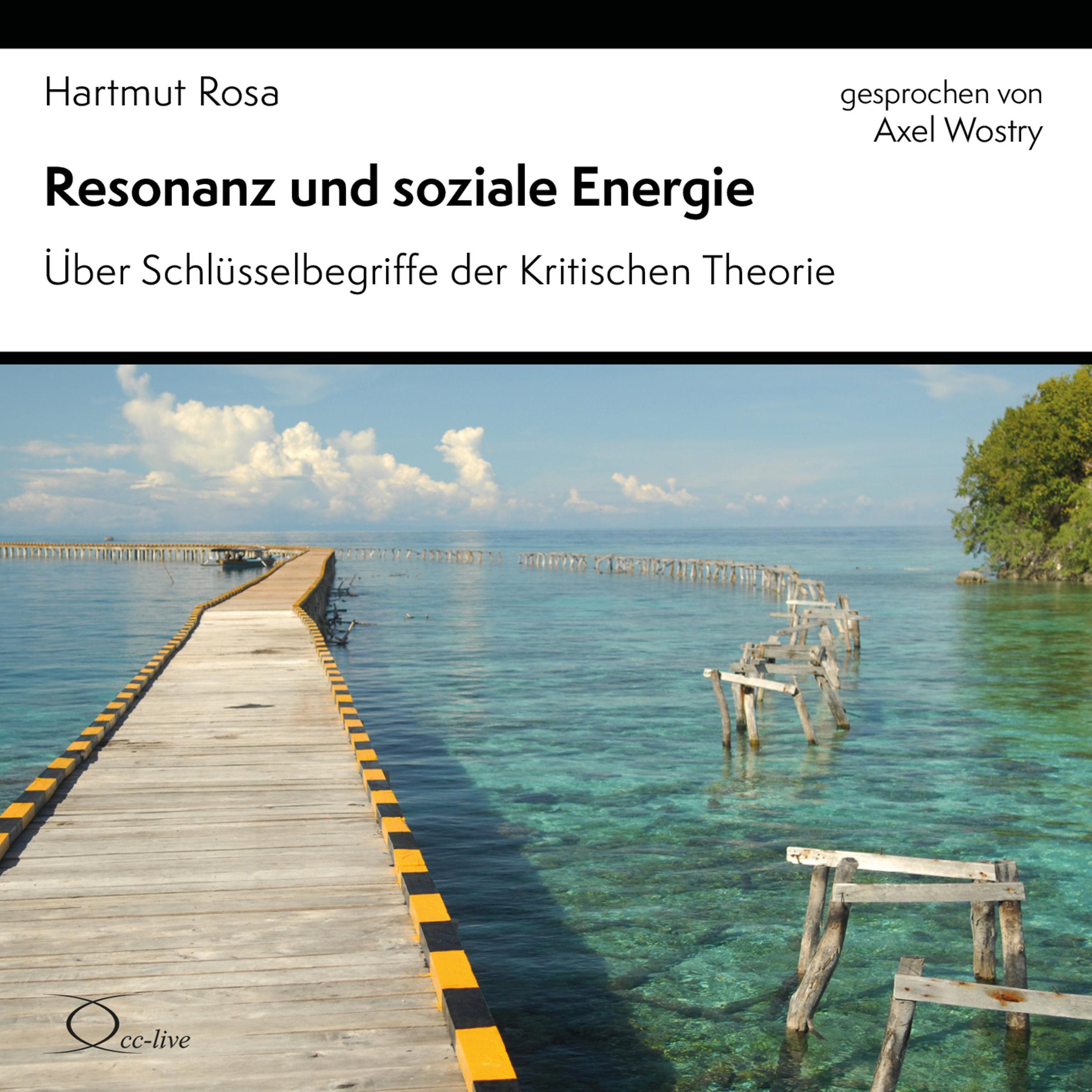 Vorderes Coverbild Resonanz und soziale Energie