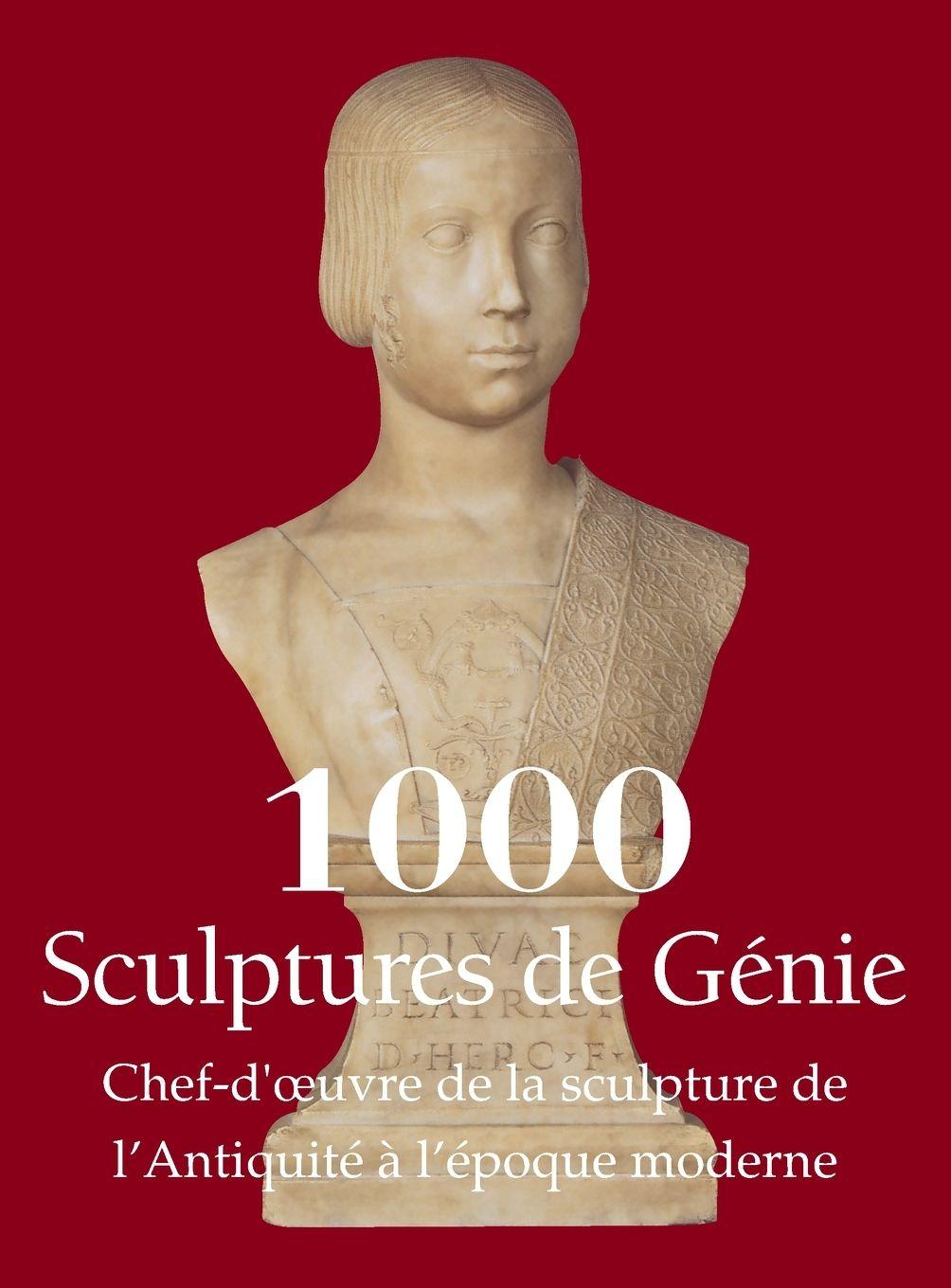 Vorderes Coverbild 1000 Sculptures de Génie