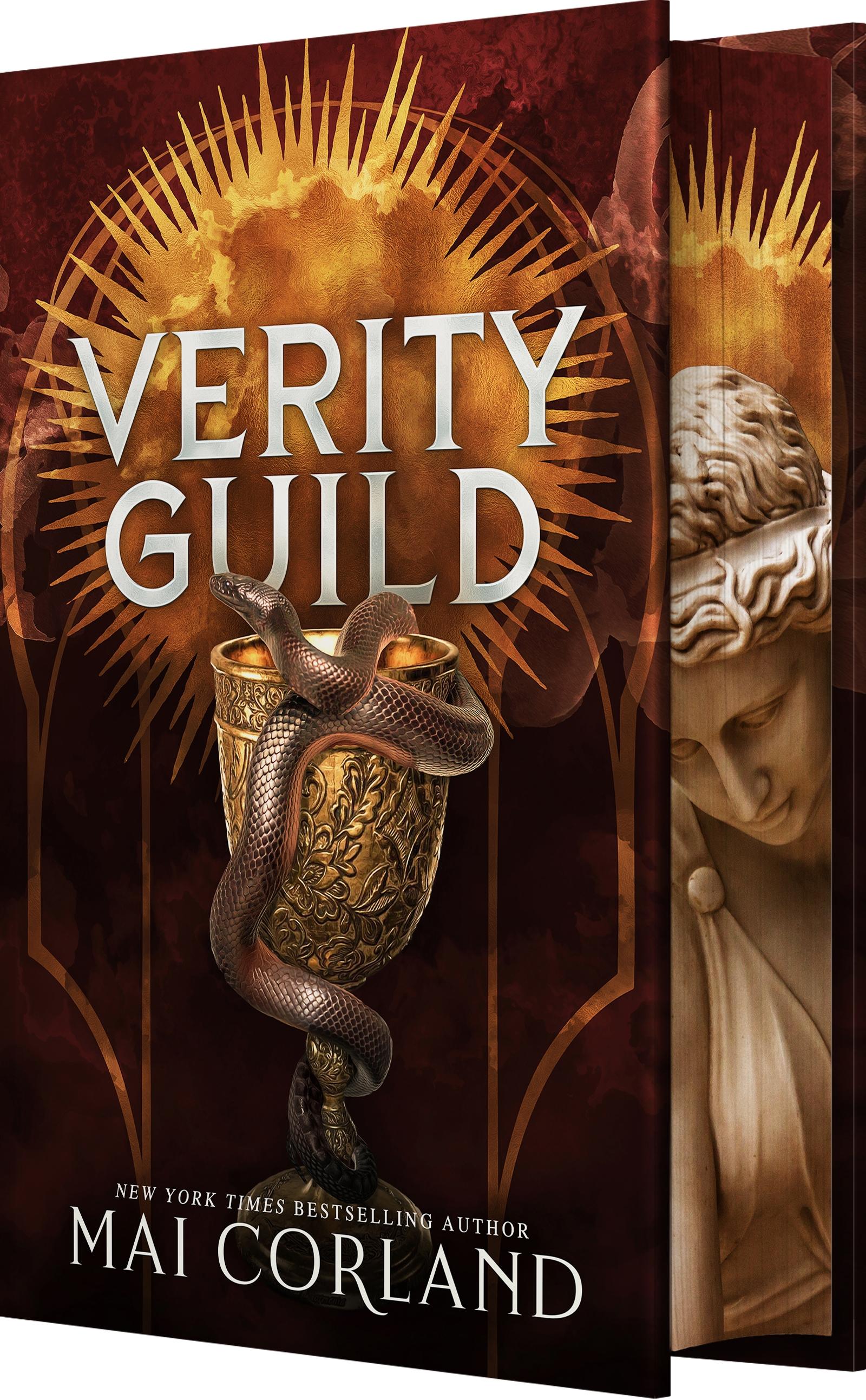 Vorderes Coverbild Verity Guild