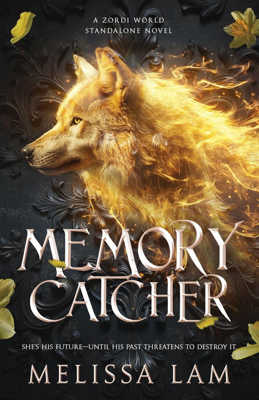 Vorderes Coverbild Memory Catcher