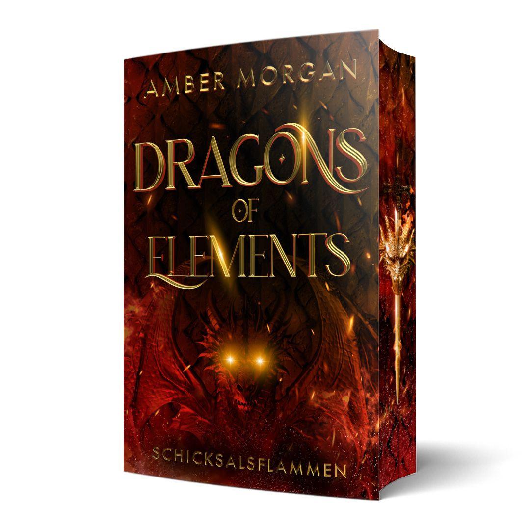 Vorderes Coverbild Dragons of Elements