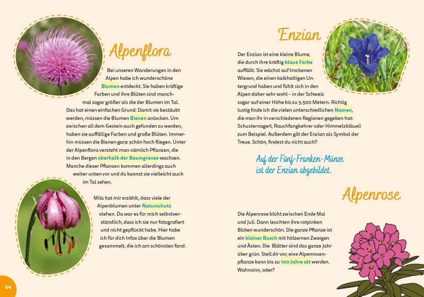 Beispielinhalt (Bild) Schweiz for kids