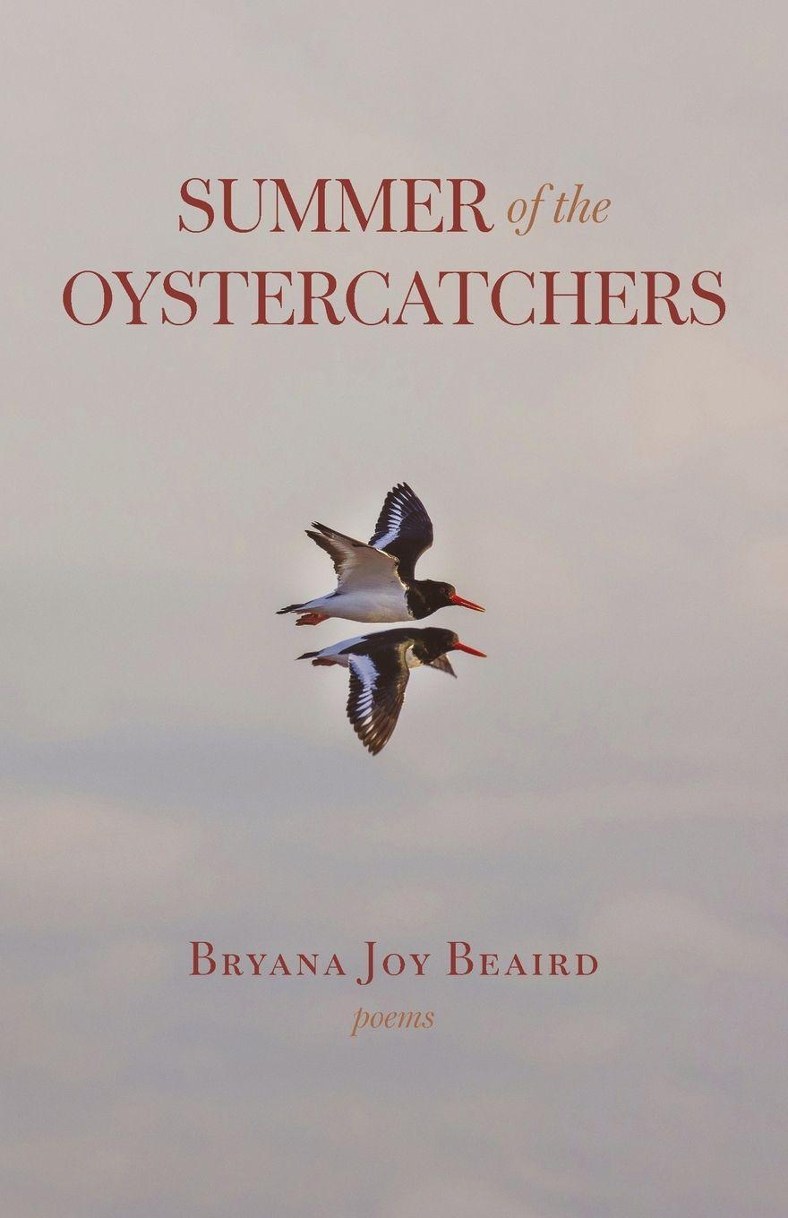 Vorderes Coverbild Summer of the Oystercatchers
