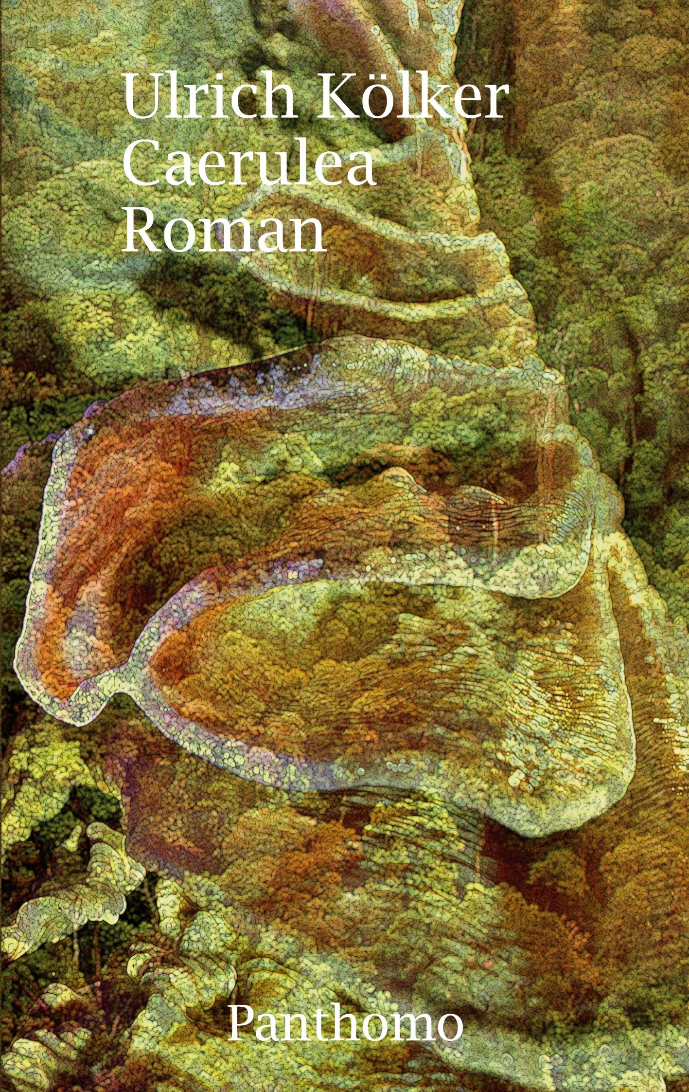 Vorderes Coverbild Caerulea