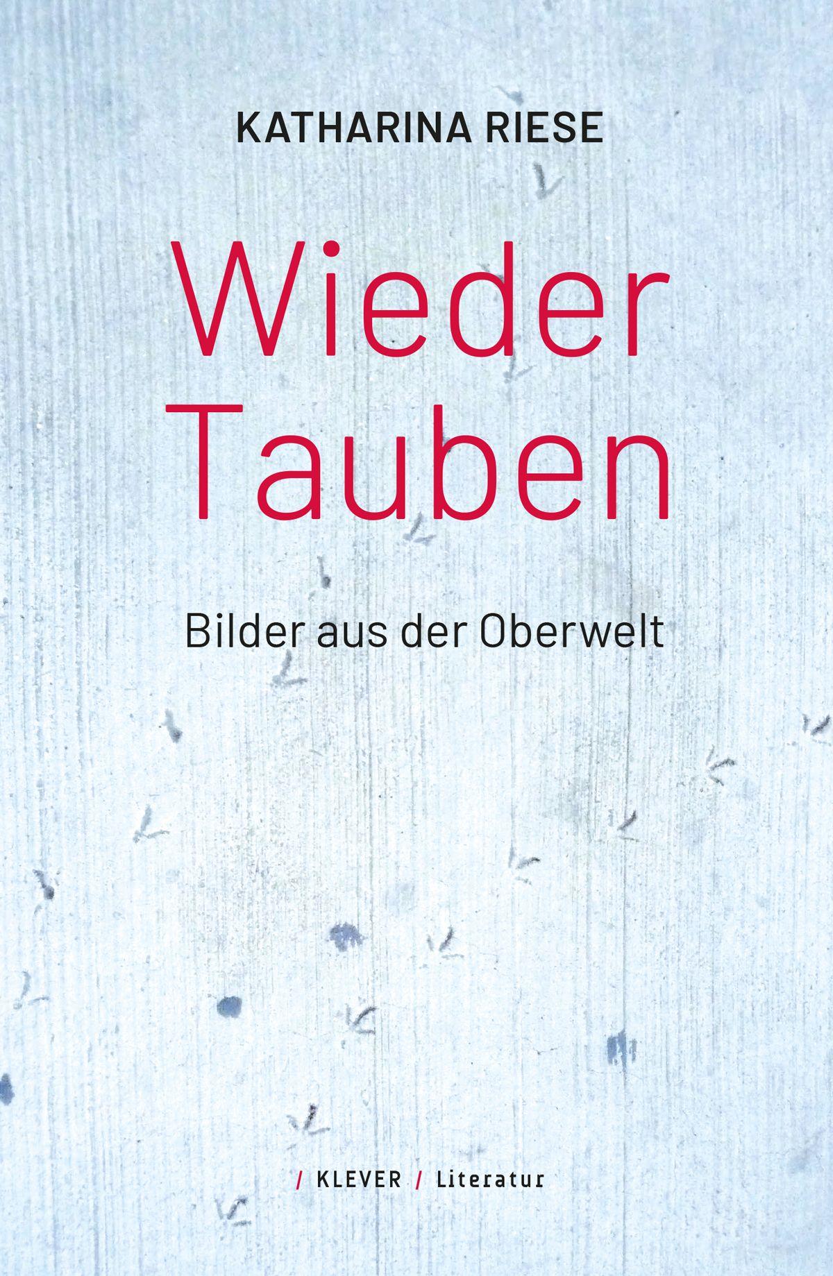Vorderes Coverbild Wieder Tauben