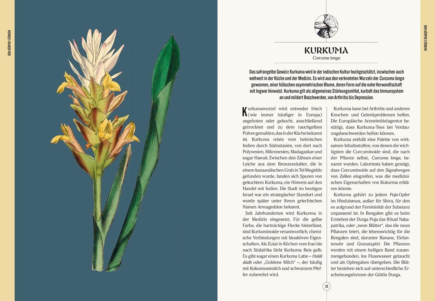 Beispielinhalt (Bild) Der Garten des Apothekers