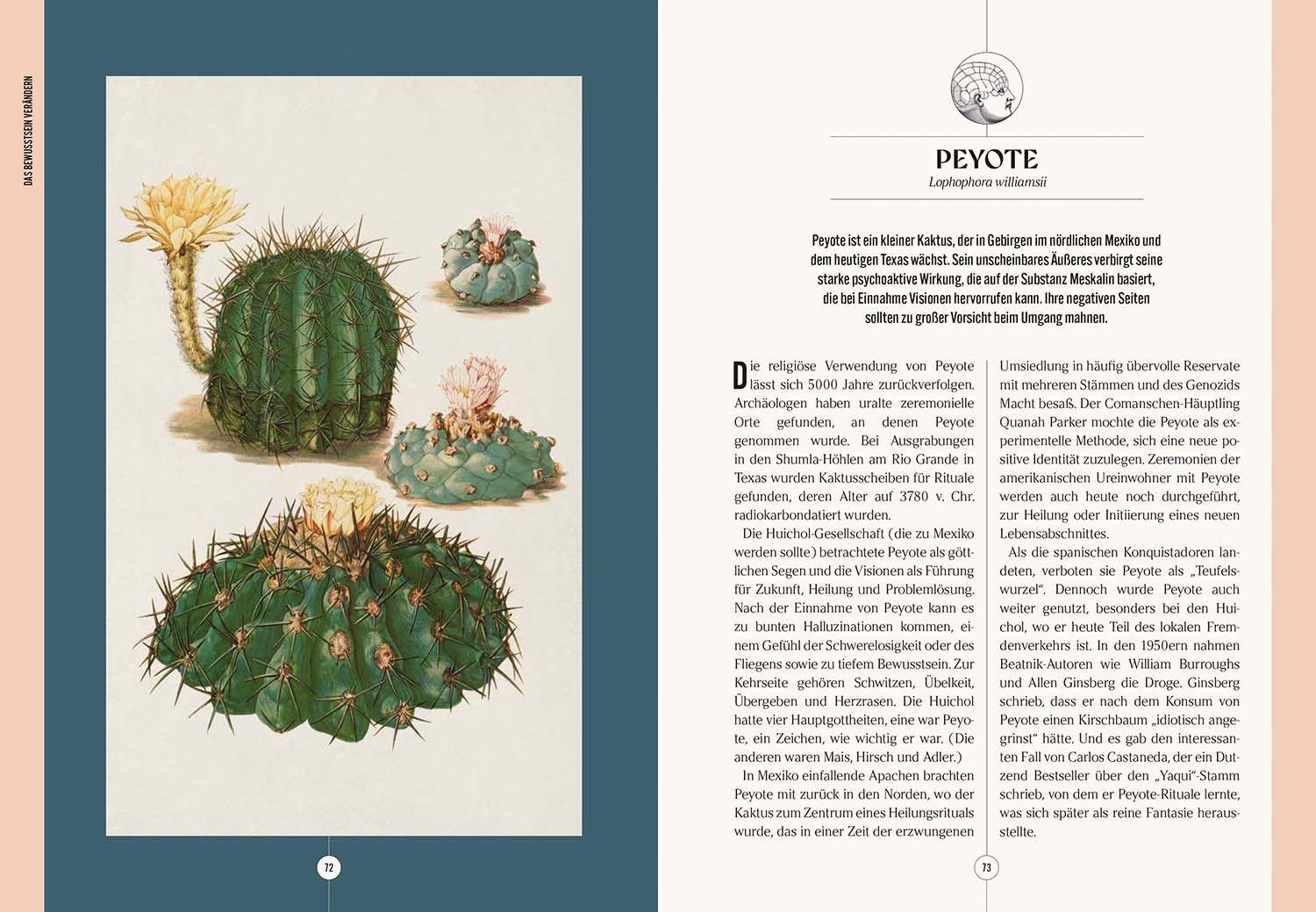 Beispielinhalt (Bild) Der Garten des Apothekers