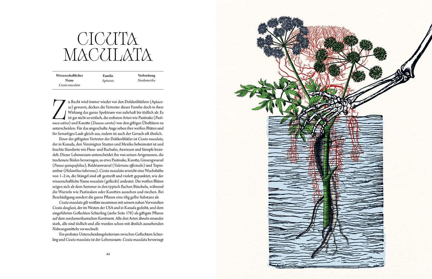 Beispielinhalt (Bild) Atlas der tödlichen Pflanzen