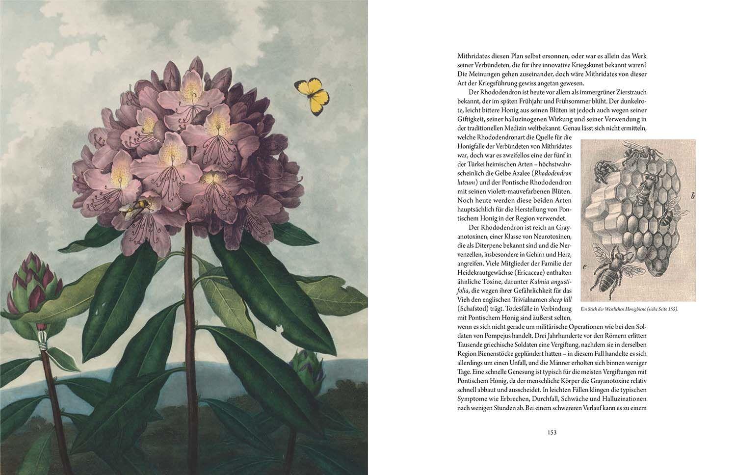 Beispielinhalt (Bild) Atlas der tödlichen Pflanzen