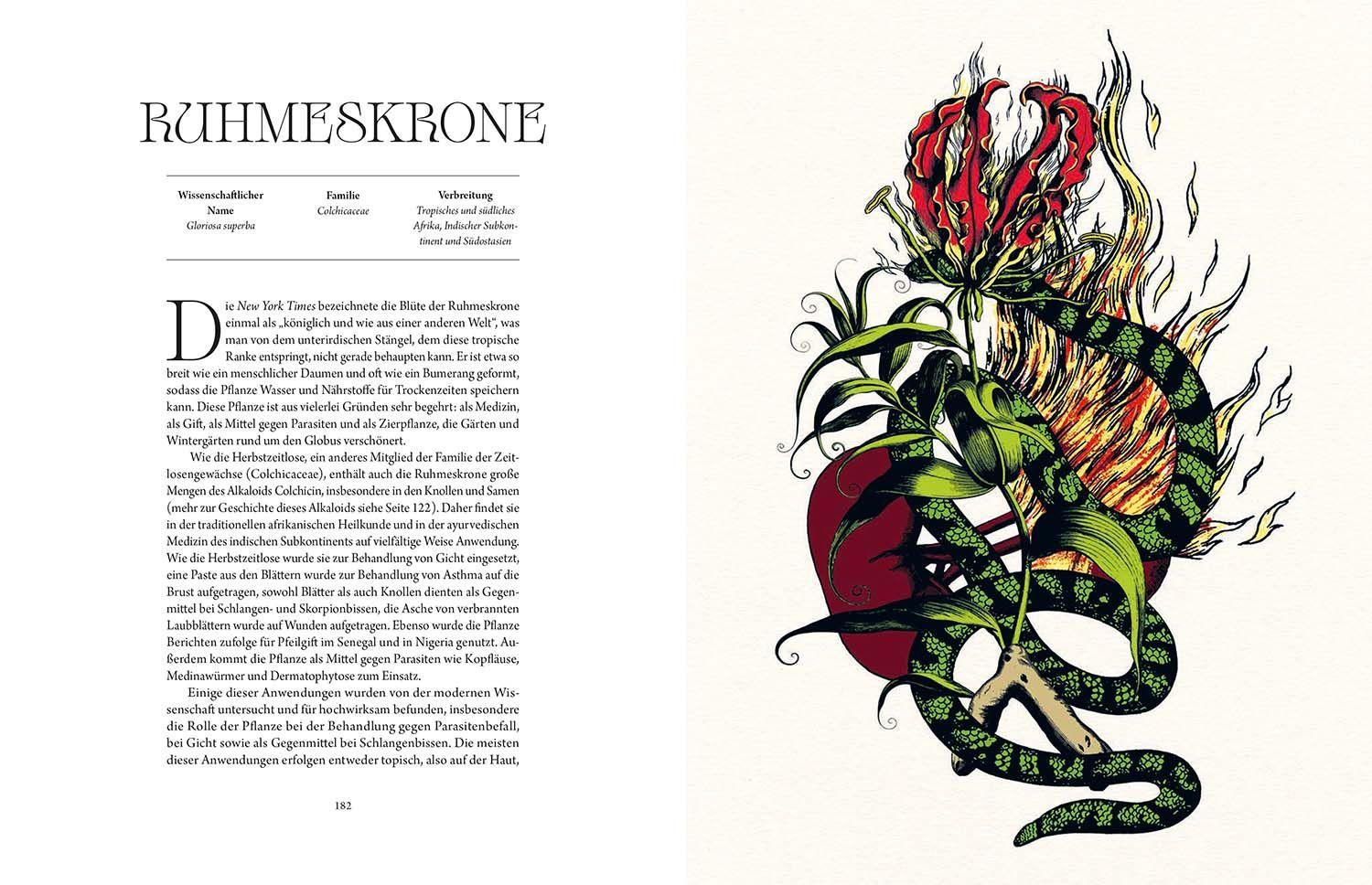 Beispielinhalt (Bild) Atlas der tödlichen Pflanzen