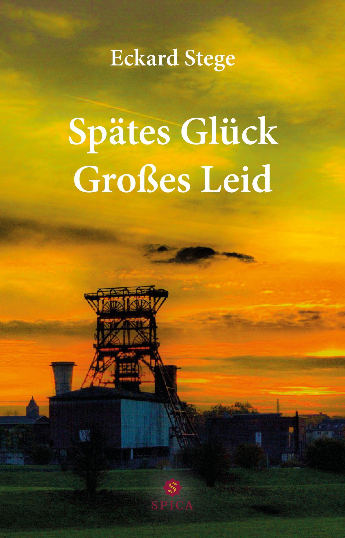 Vorderes Coverbild Spätes Glück - Großes Leid