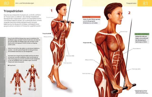 Beispielinhalt (Bild) Die Anatomie von Stretching und Fitness