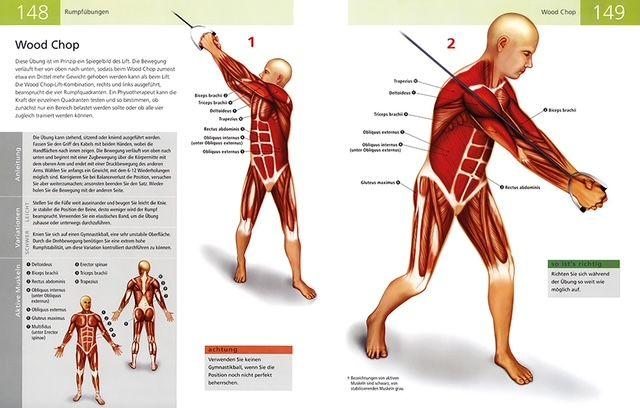 Beispielinhalt (Bild) Die Anatomie von Stretching und Fitness