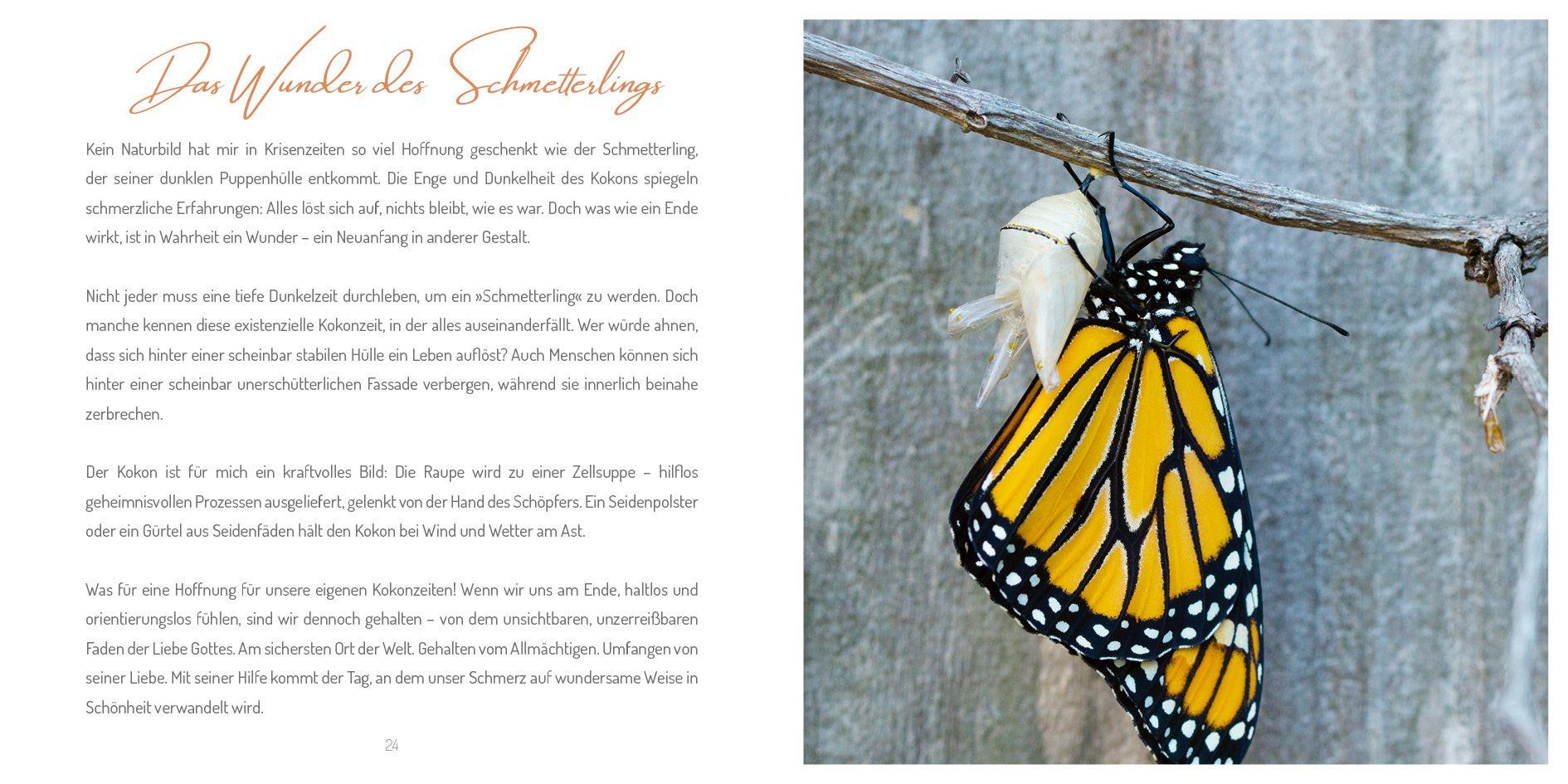 Beispielinhalt (Bild) Dennoch gehalten