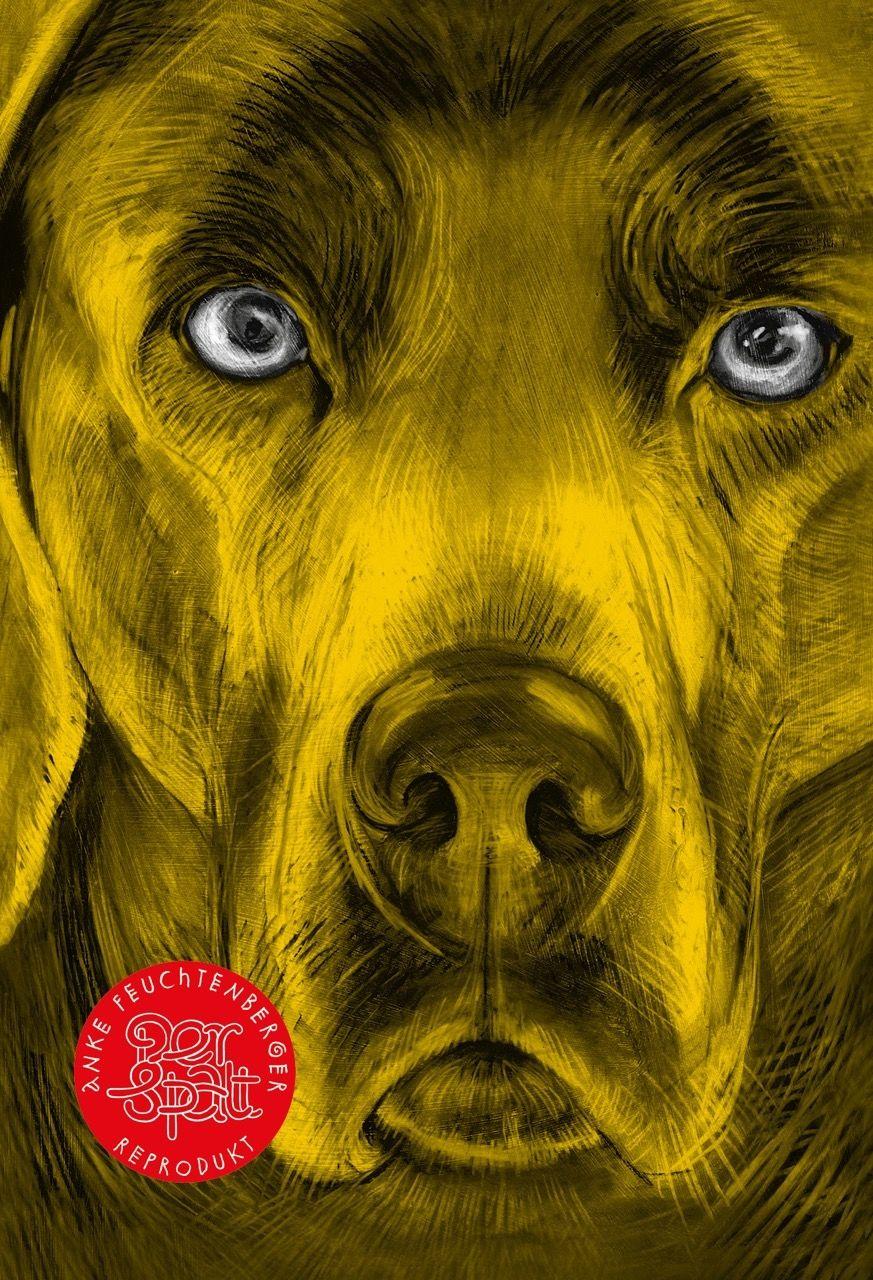 Vorderes Coverbild Der Spalt