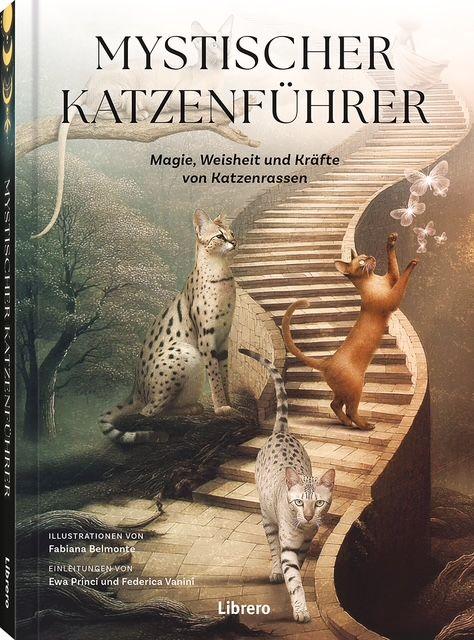 Vorderes Coverbild Mystischer Katzenführer
