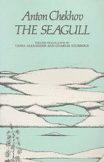 Vorderes Coverbild The Seagull