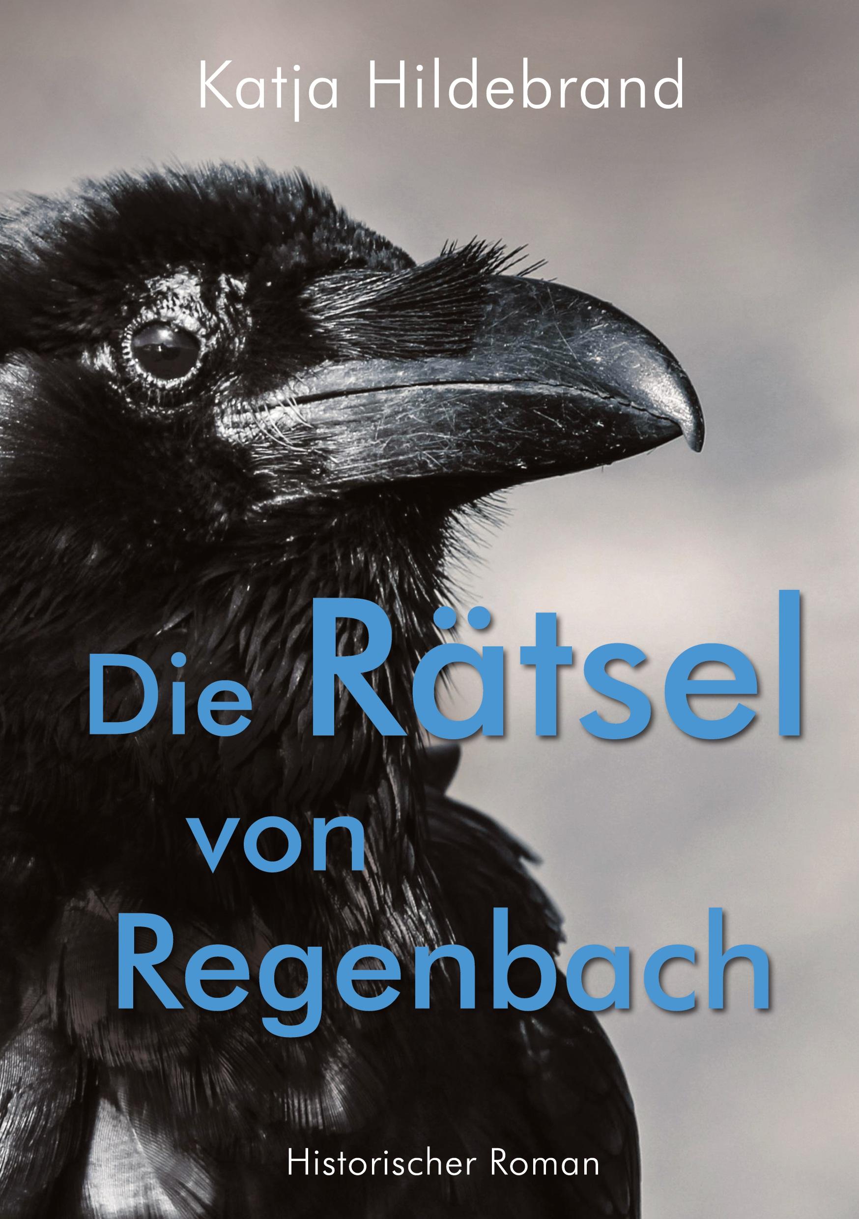 Vorderes Coverbild Die Rätsel von Regenbach