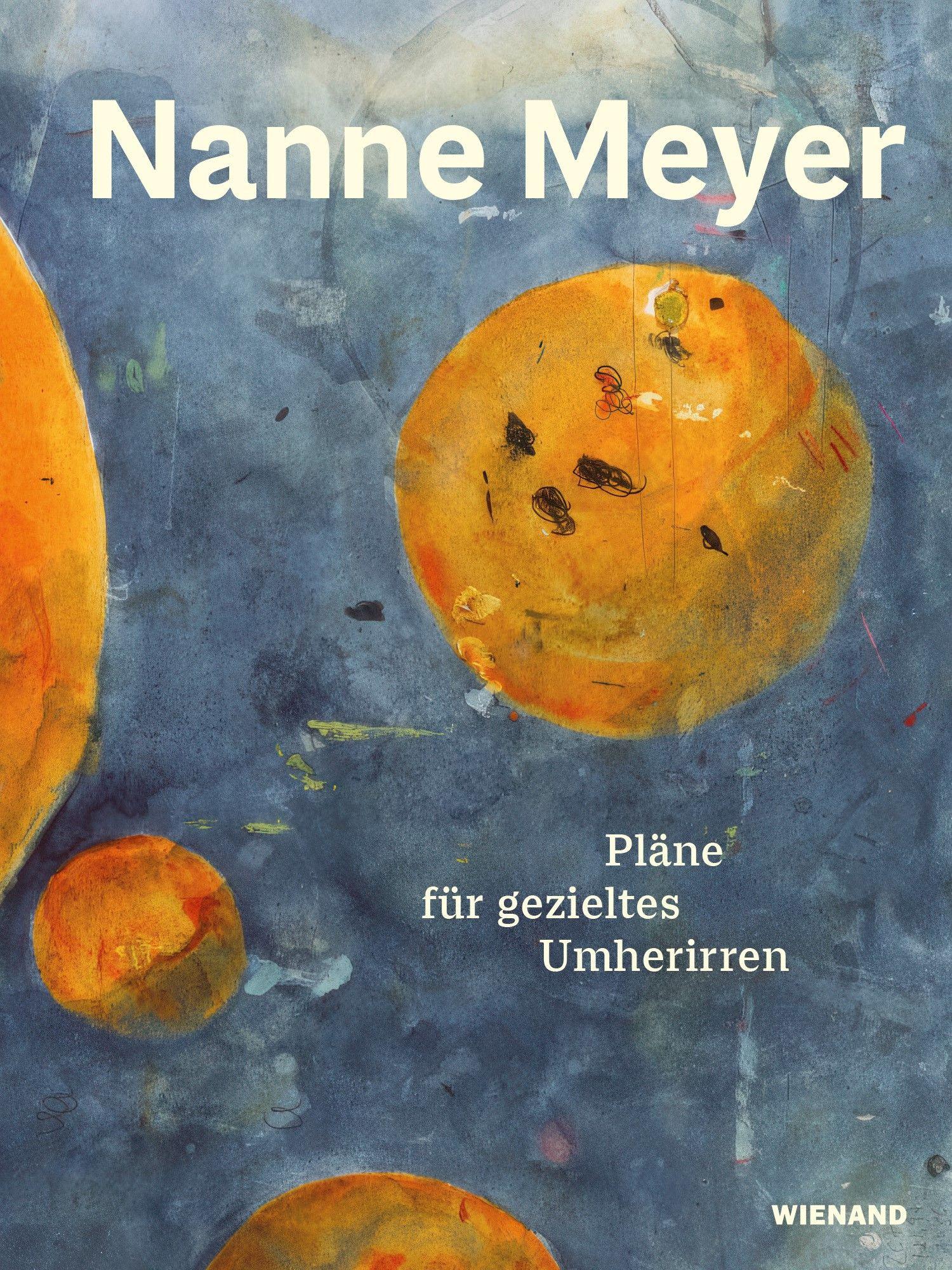 Vorderes Coverbild Nanne Meyer