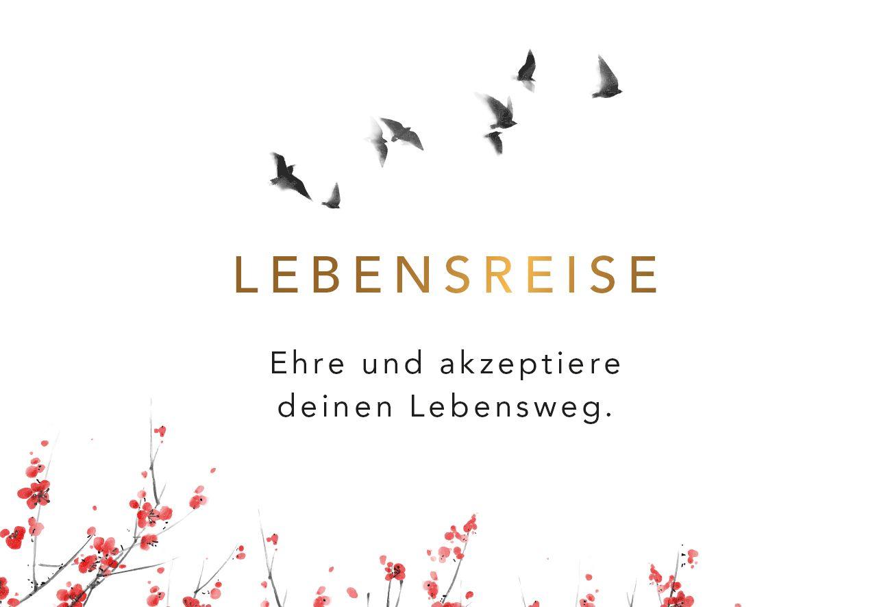 Beispielinhalt (Bild) Dein Ikigai-Moment - Impulskarten für ein Leben voller Leichtigkeit, Sinn und Erfüllung