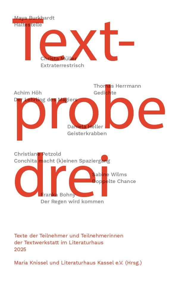 Vorderes Coverbild Textprobe drei
