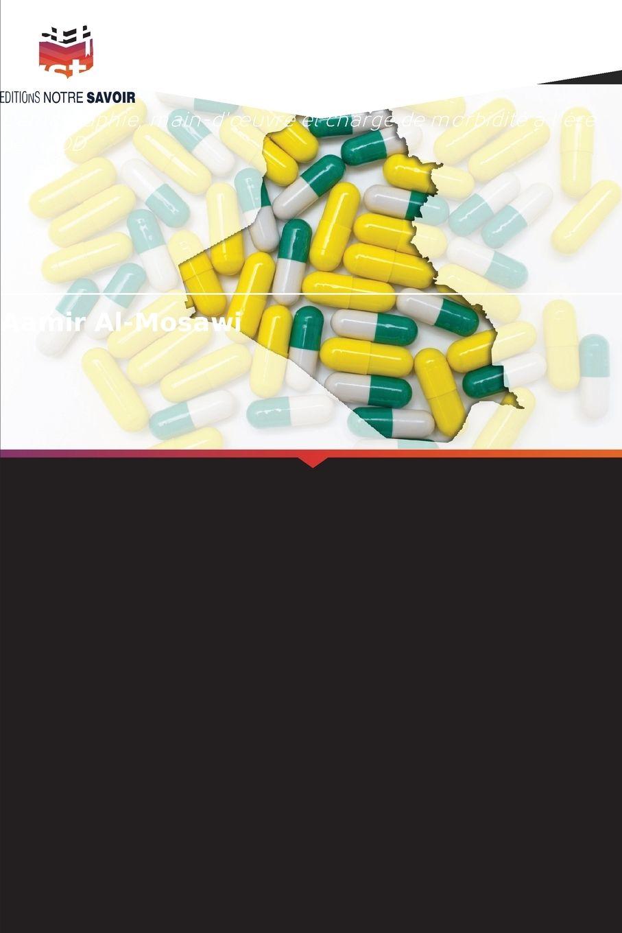 Vorderes Coverbild Performances et priorités du système de santé en Irak