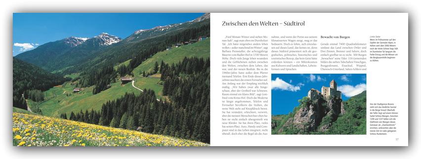 Beispielinhalt (Bild) Panorama Südtirol