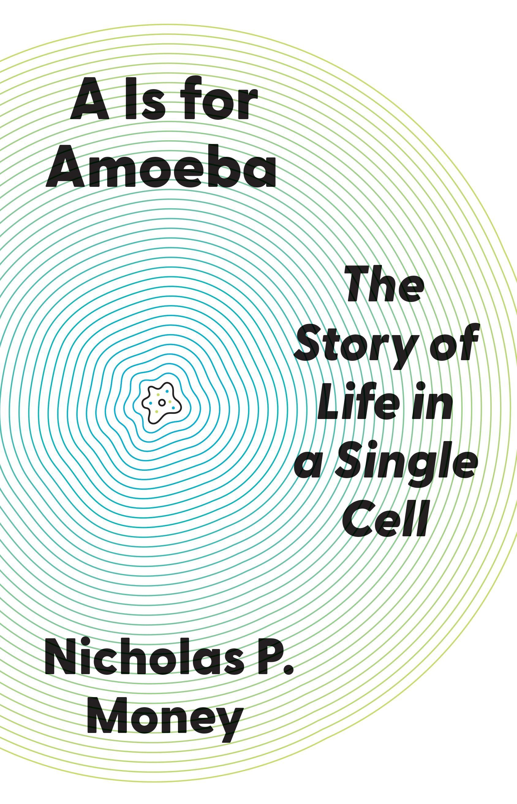 Vorderes Coverbild A is for Amoeba