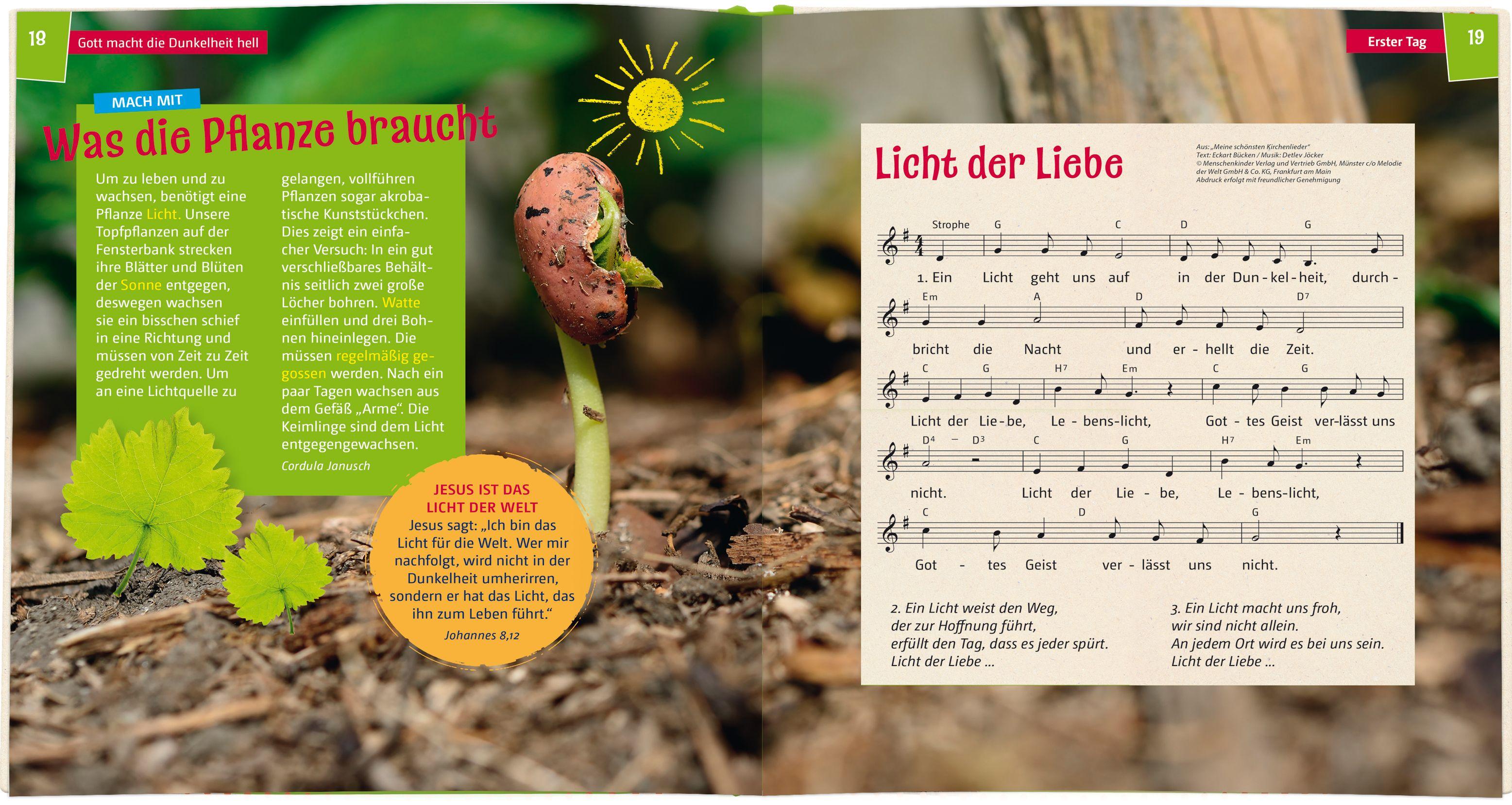 Beispielinhalt (Bild) Wir entdecken die Schöpfung