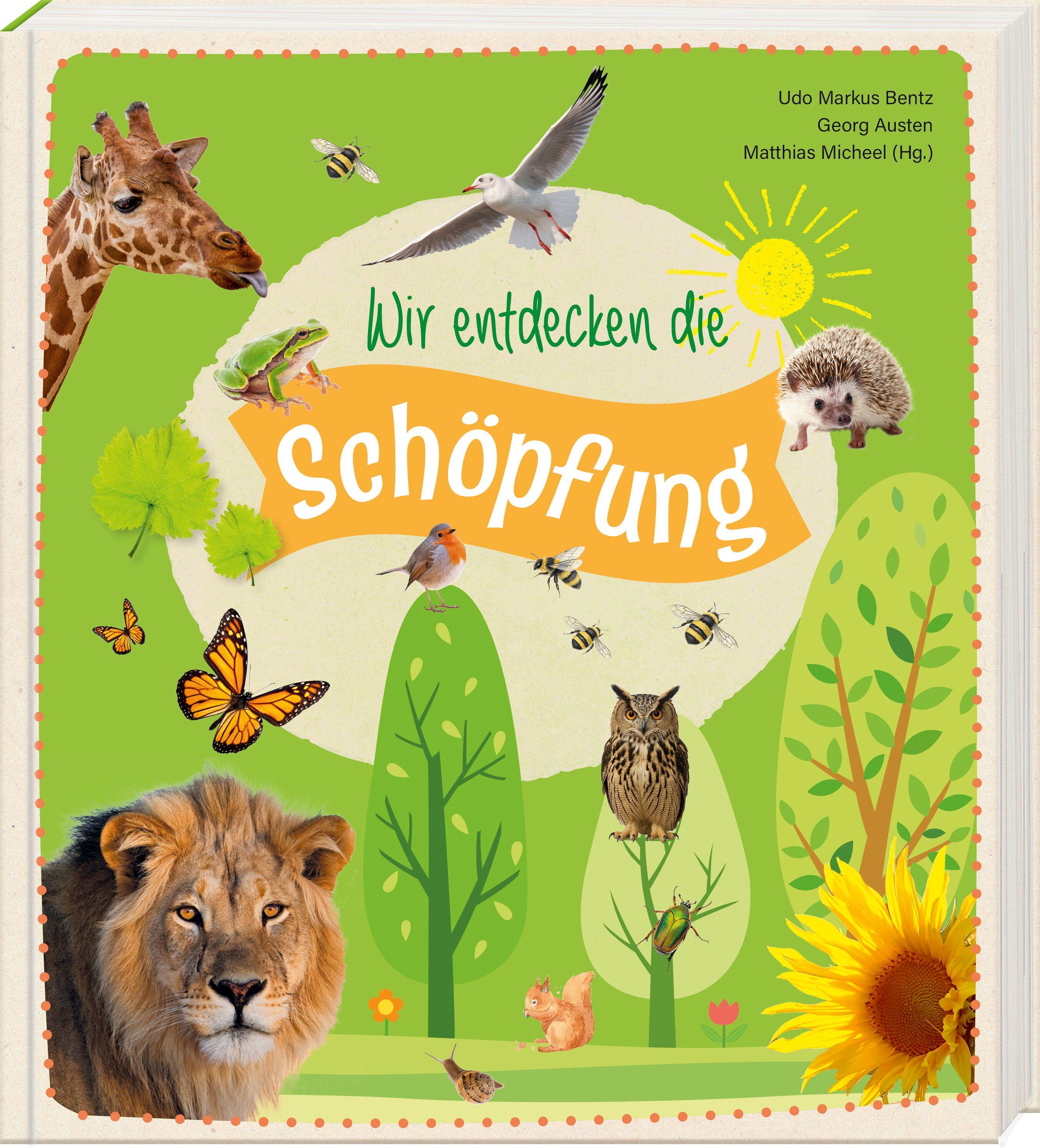 Vorderes Coverbild Wir entdecken die Schöpfung