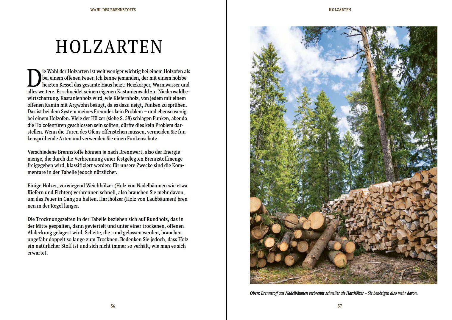 Beispielinhalt (Bild) Holz - Ofen - Feuer