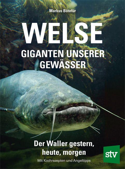 Vorderes Coverbild Welse - Giganten unserer Gewässer