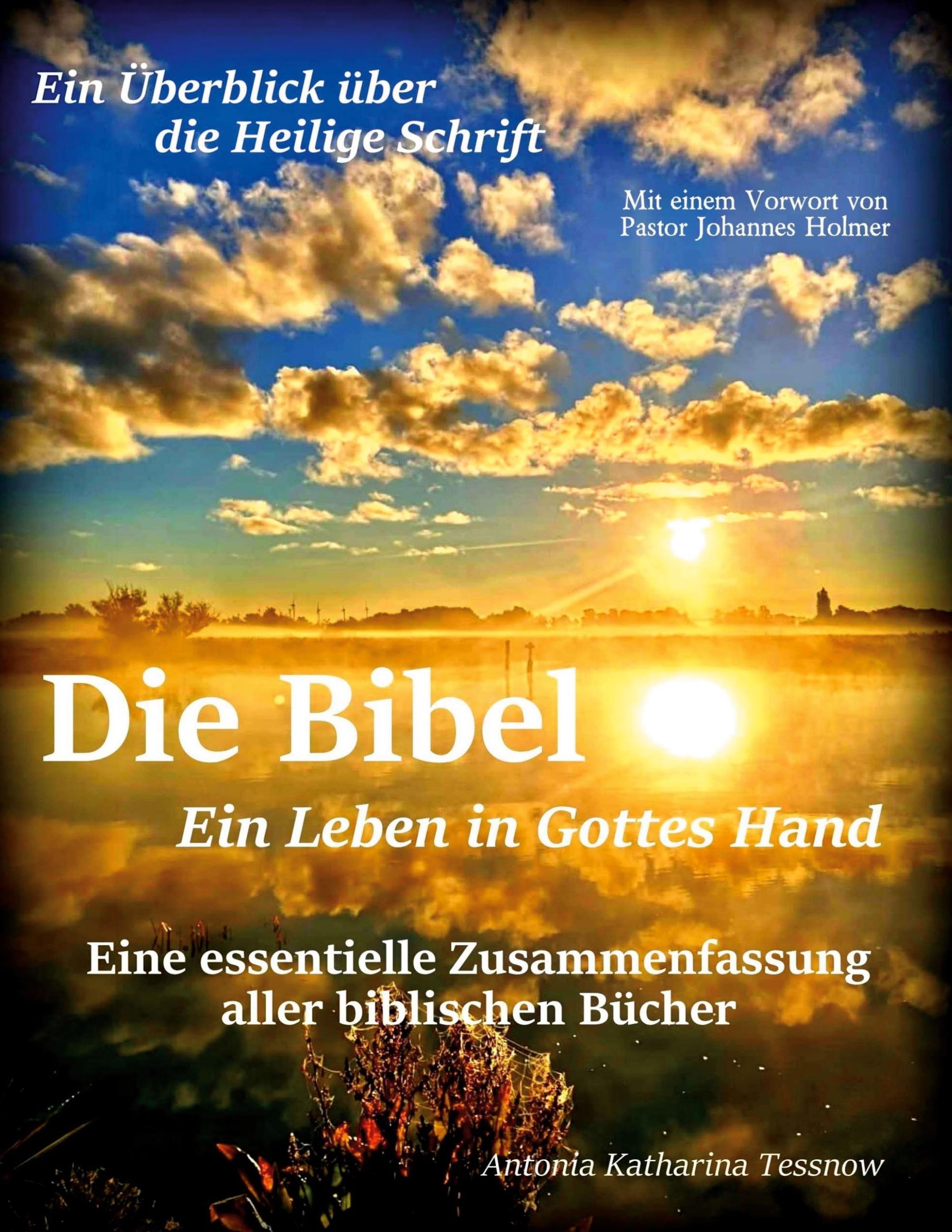 Vorderes Coverbild Die Bibel - Ein Leben in Gottes Hand, Eine essentielle Zusammenfassung aller biblischen Bücher