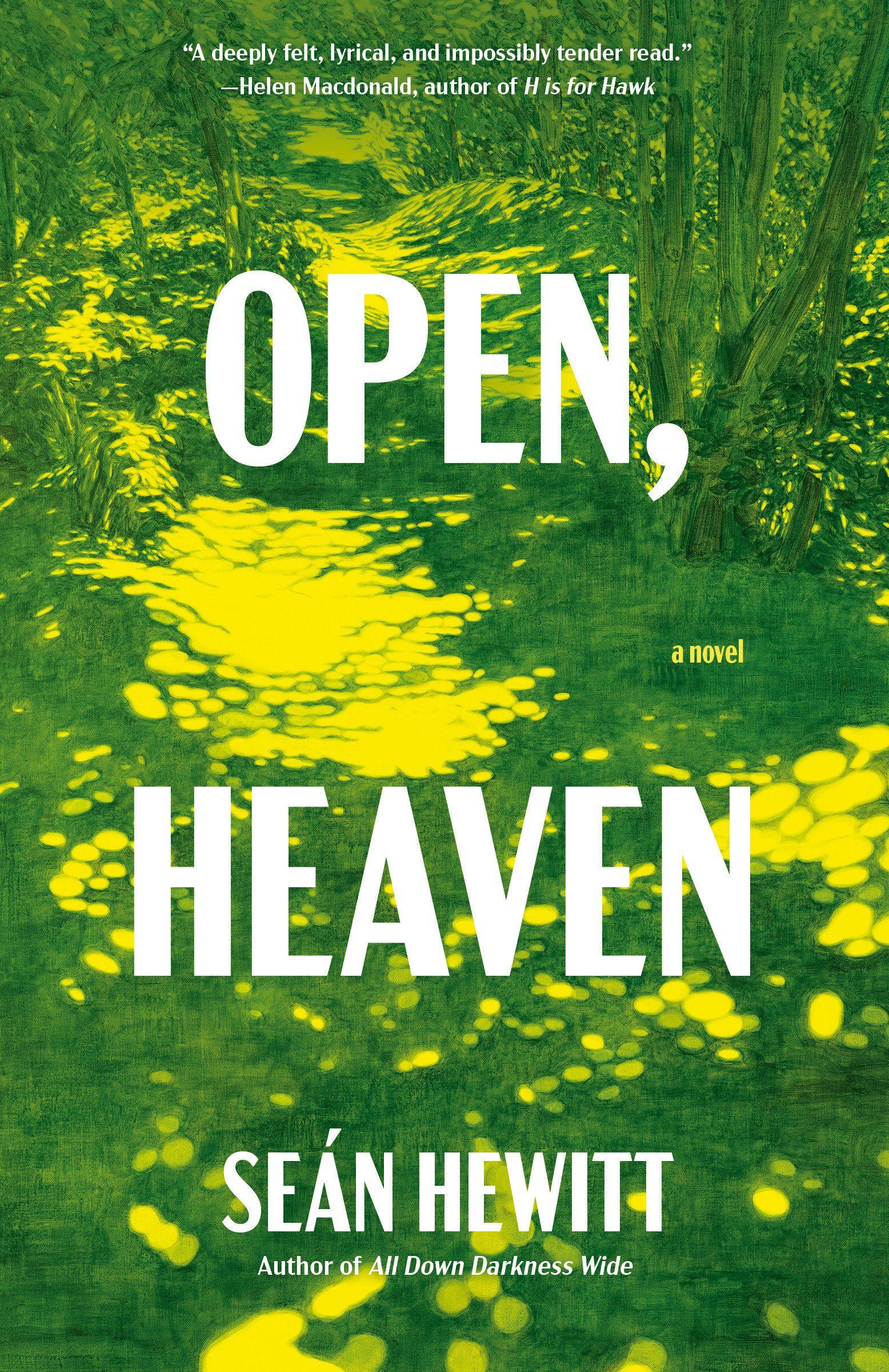 Vorderes Coverbild Open, Heaven