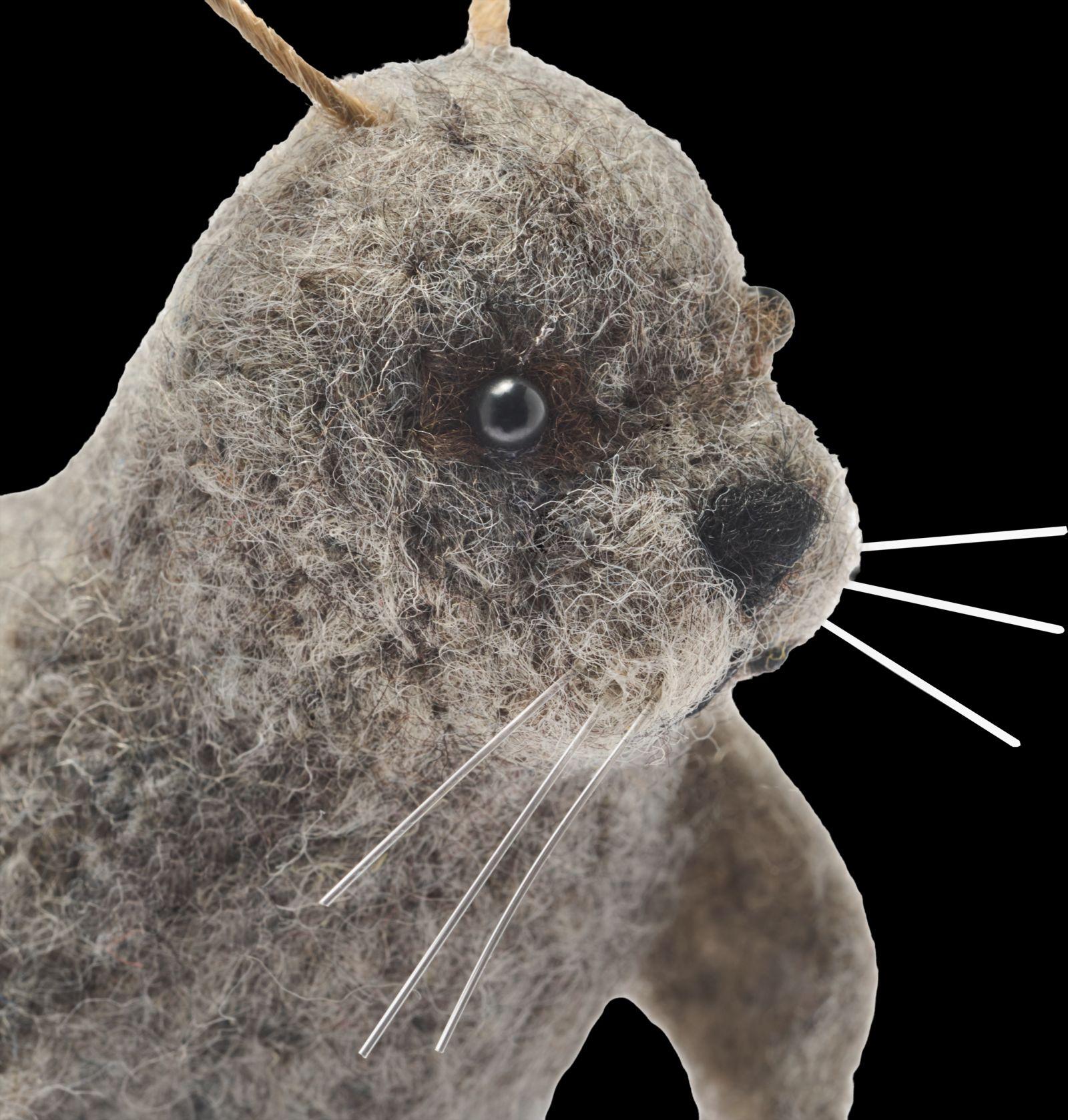 Beispielinhalt (Bild) Filztier Seehund