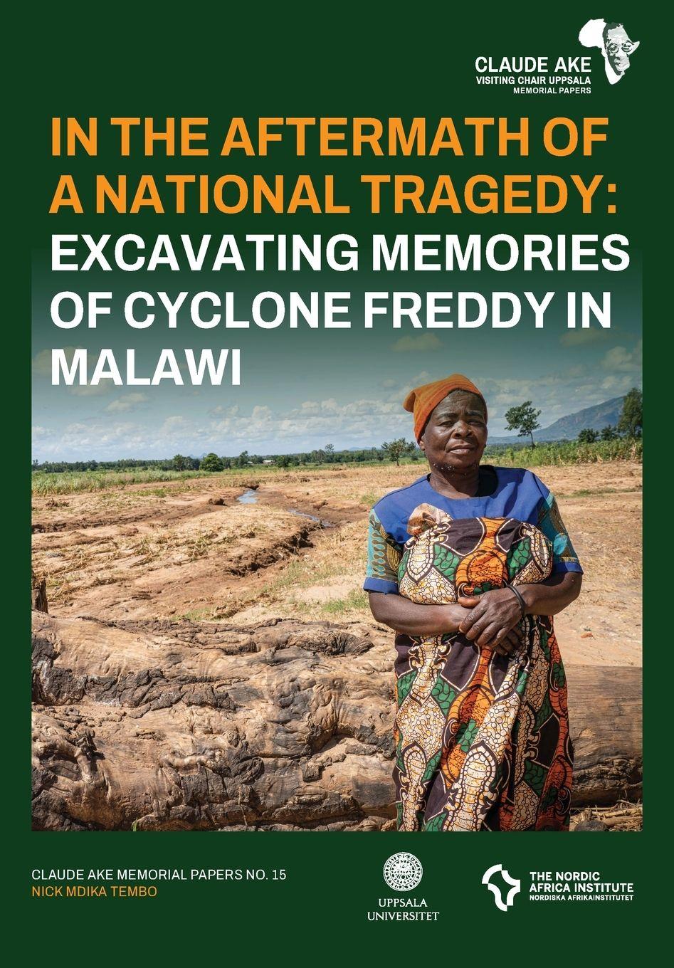 Vorderes Coverbild In the Aftermath of a National Tragedy