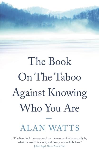 Vorderes Coverbild The Book on the Taboo Against Knowing Who You Are