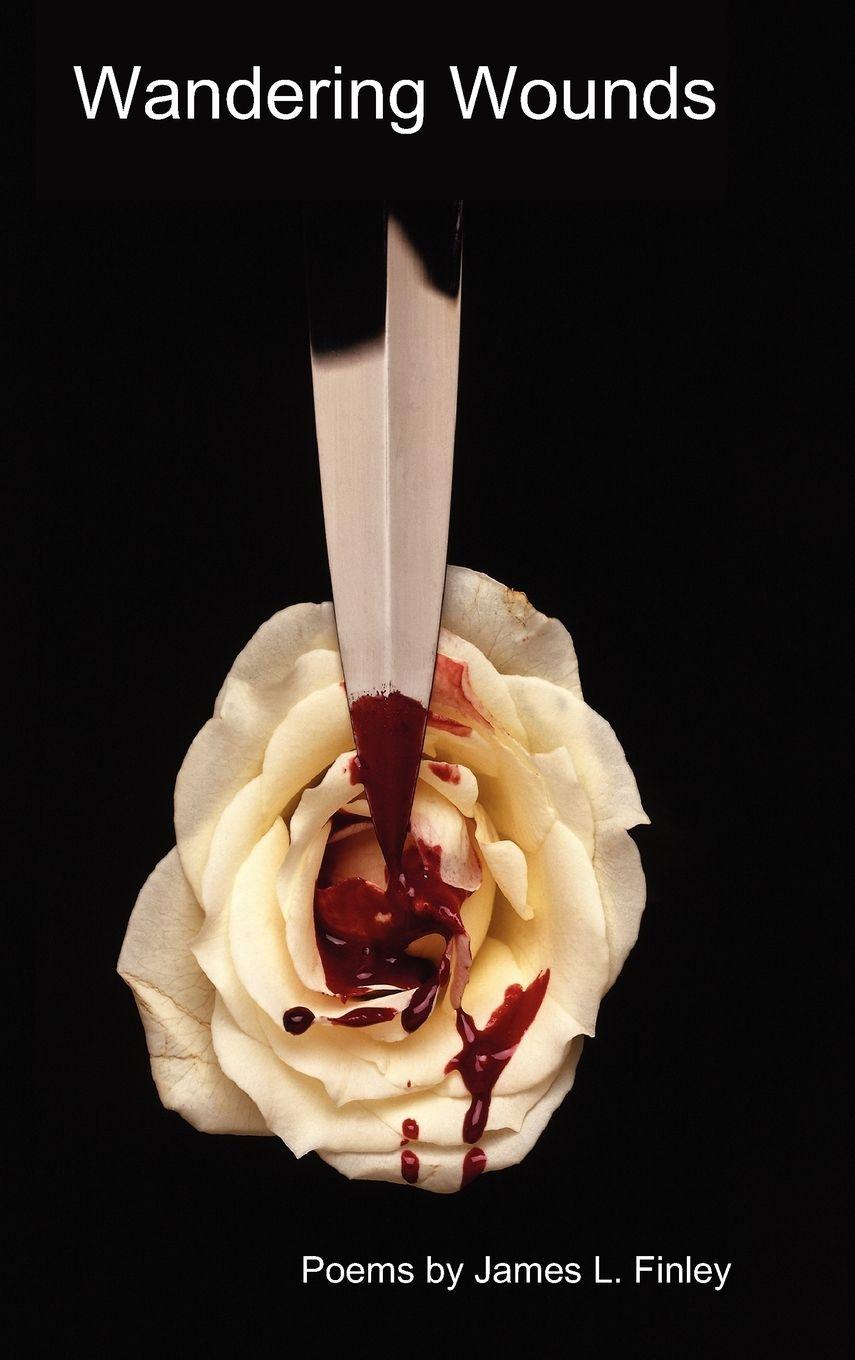 Vorderes Coverbild Wandering Wounds