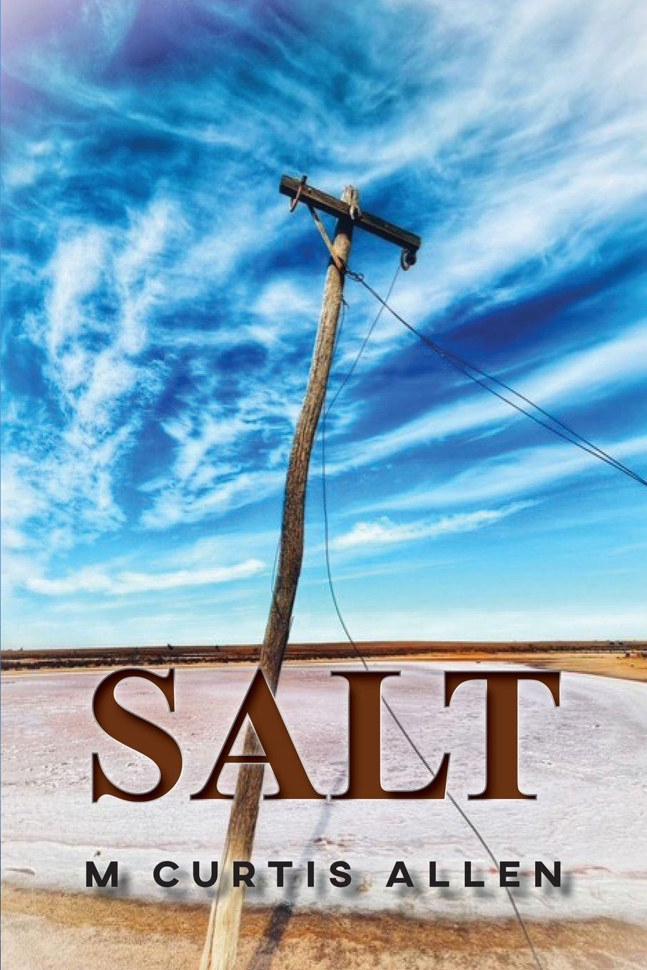 Vorderes Coverbild Salt