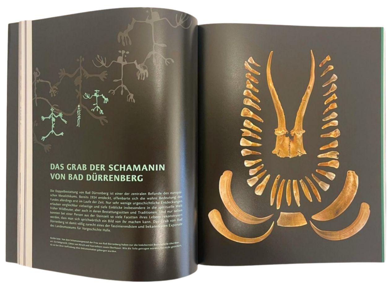 Beispielinhalt (Bild) Die Schamanin