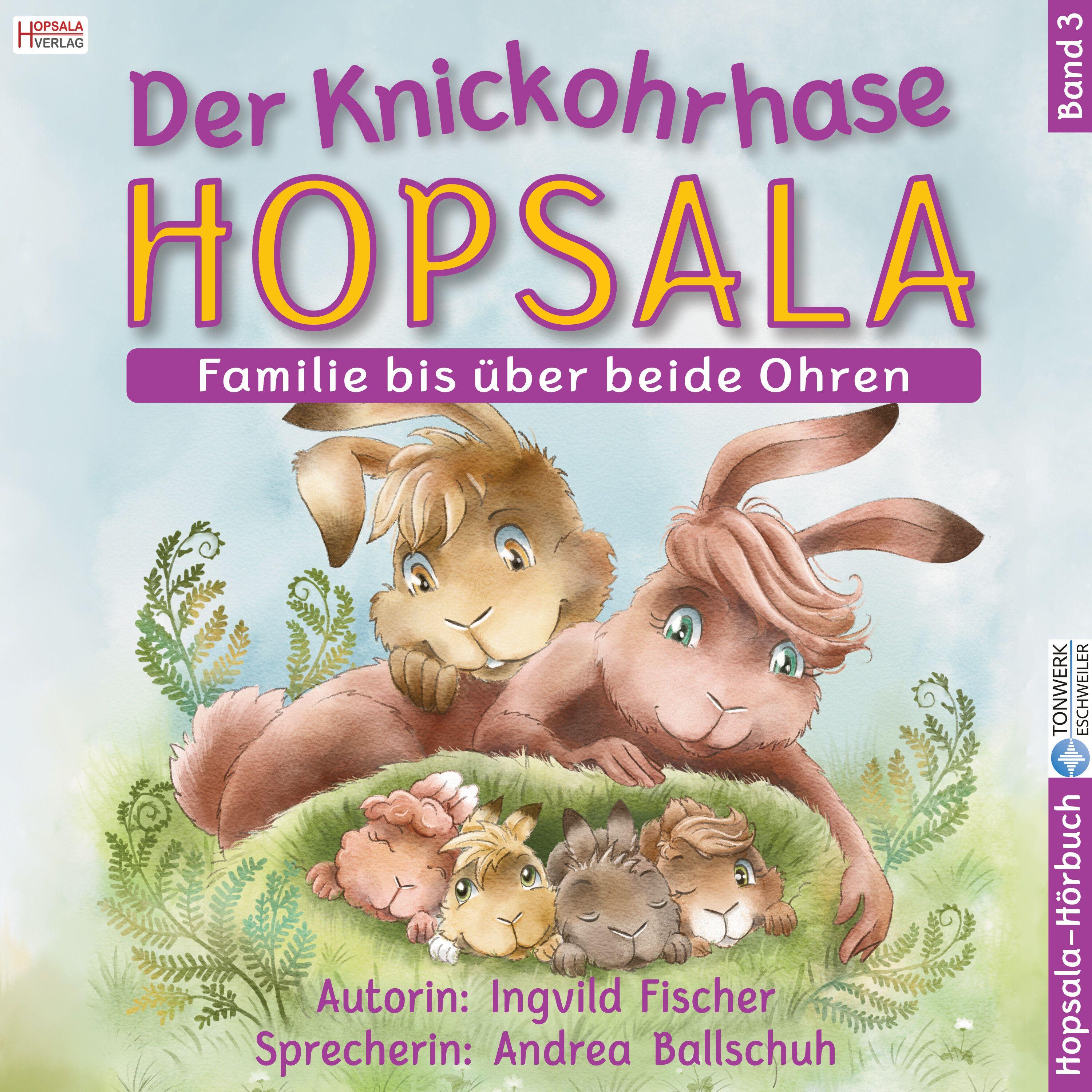 Vorderes Coverbild Der Knickohrhase Hopsala - Band 3