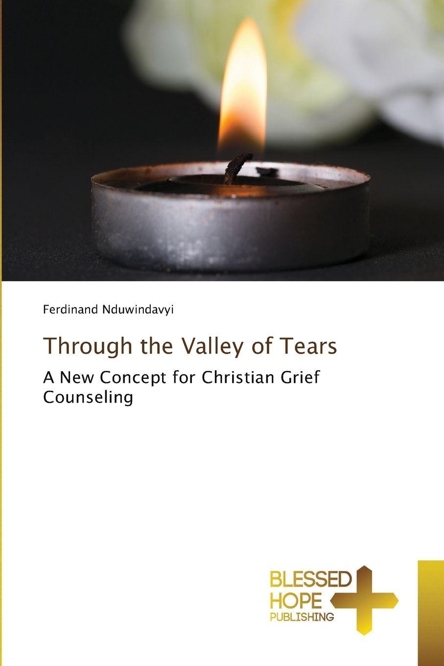 Vorderes Coverbild Through the Valley of Tears