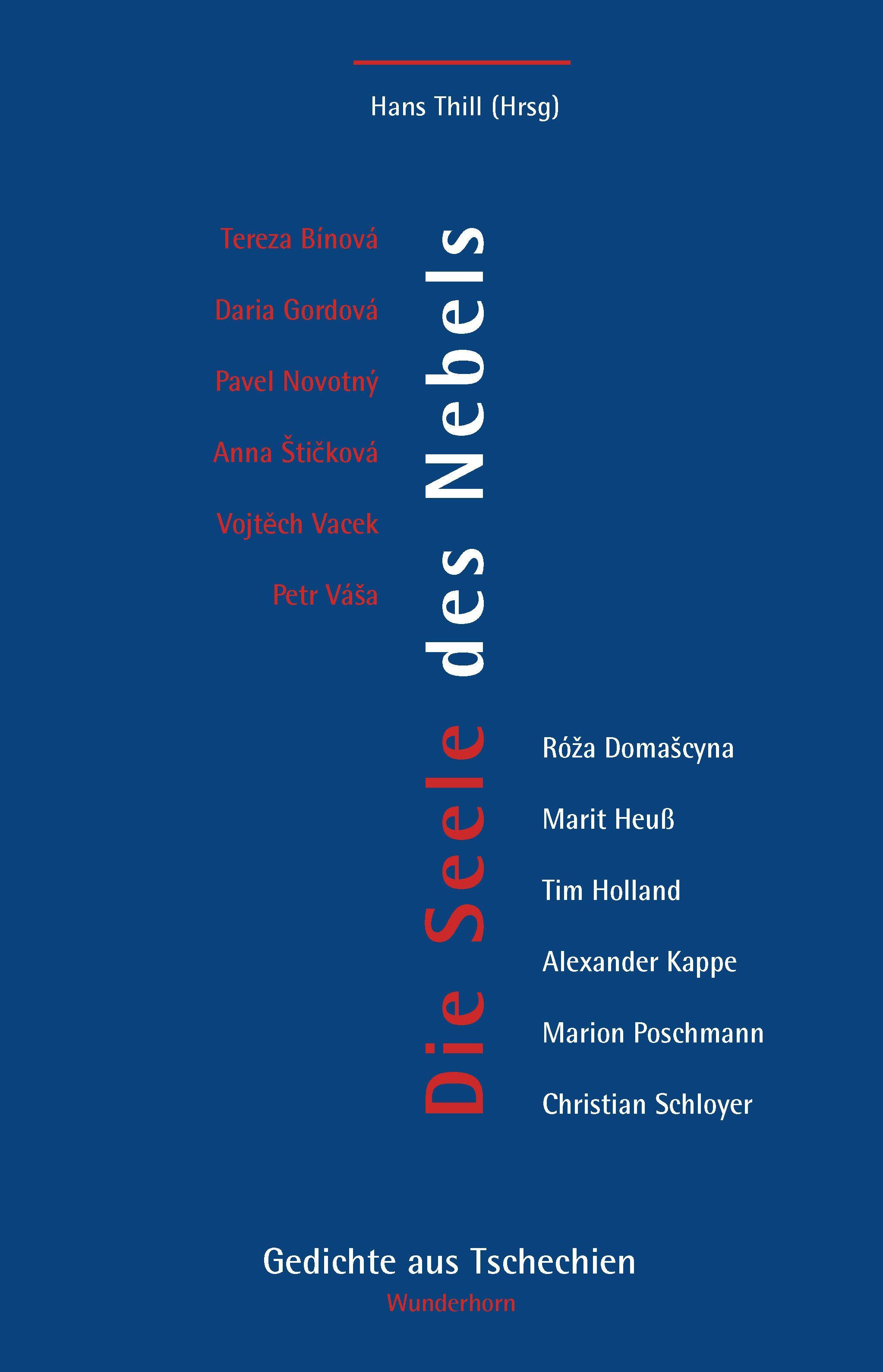 Vorderes Coverbild Die Seele des Nebels