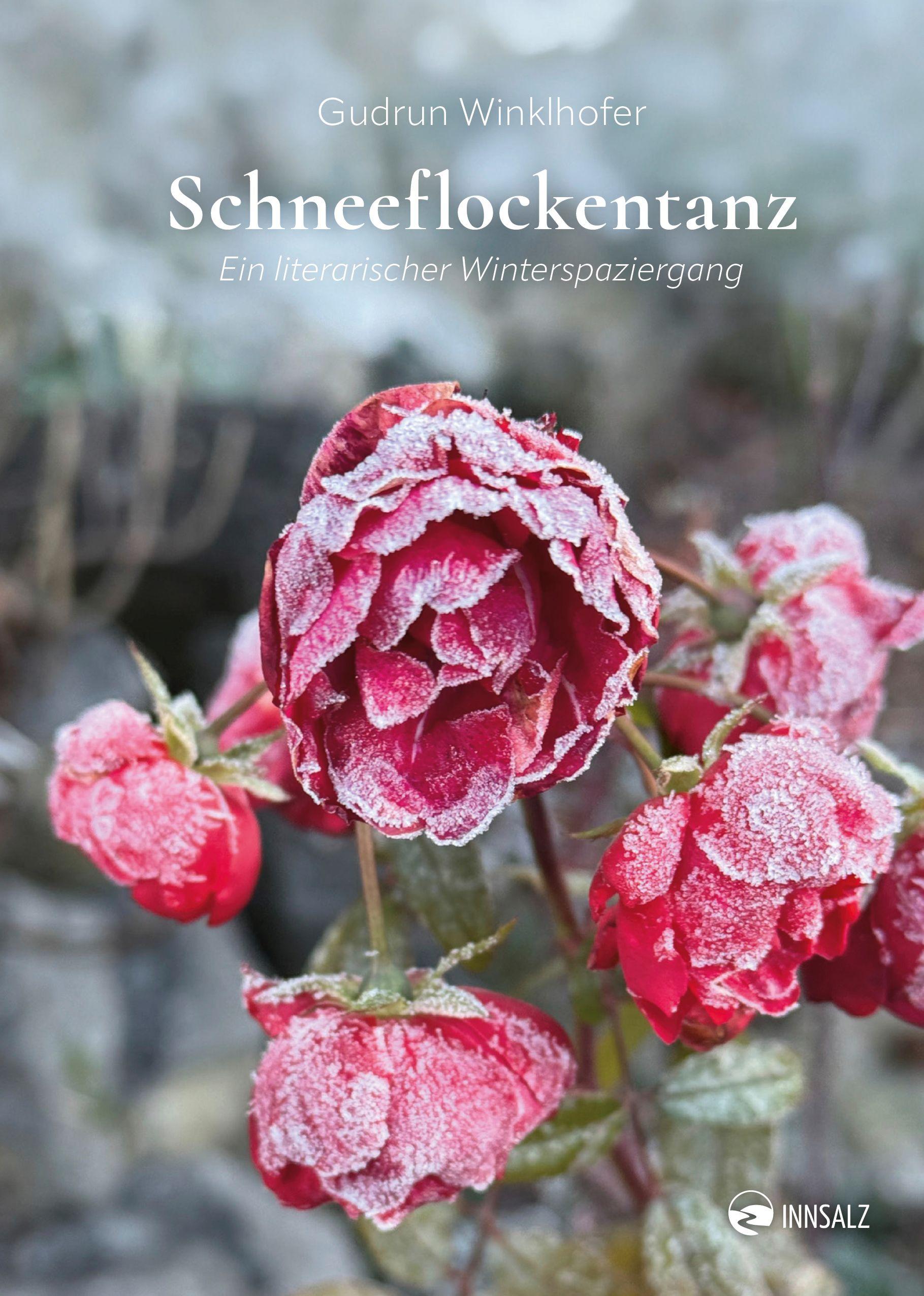 Vorderes Coverbild Schneeflockentanz