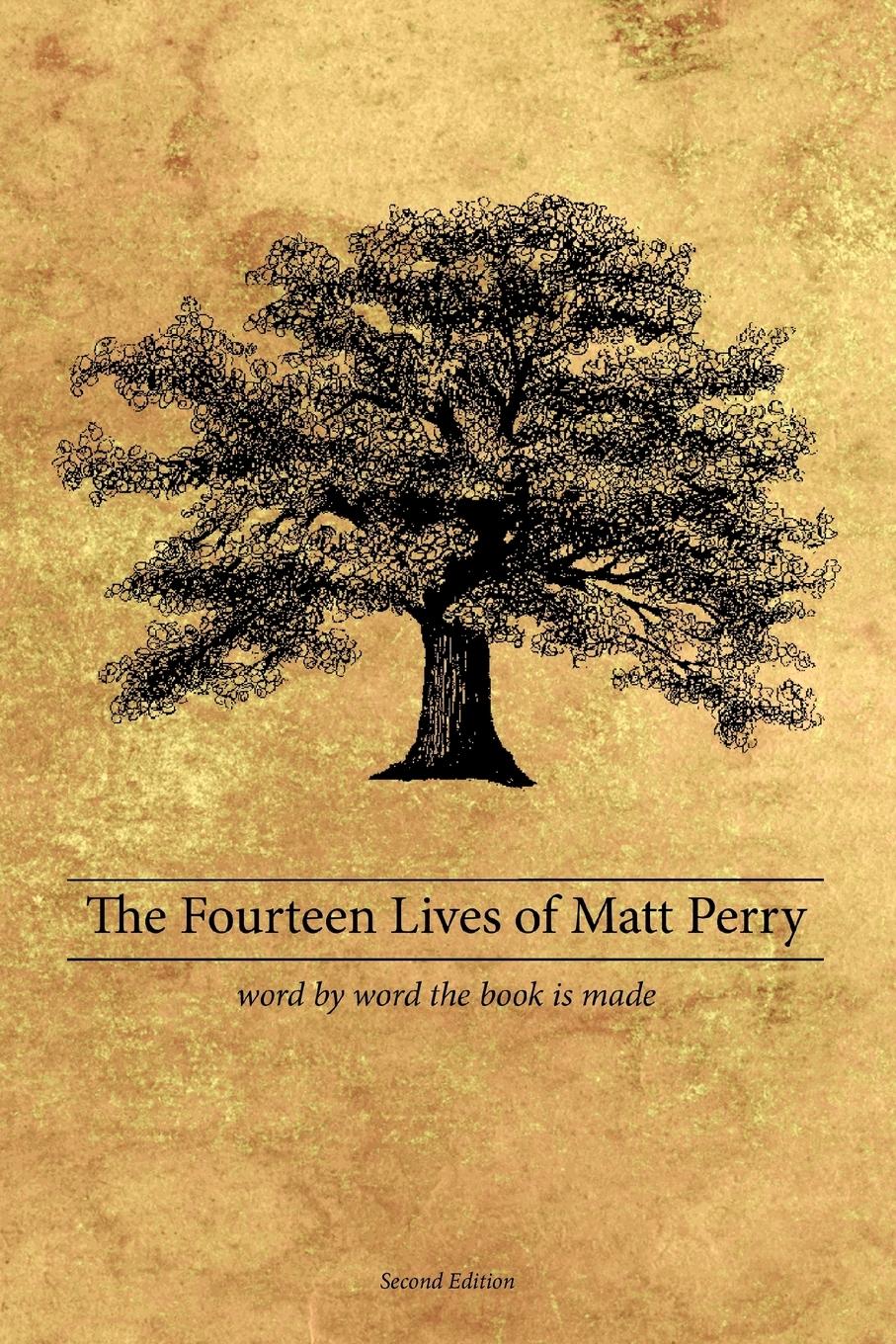 Vorderes Coverbild The Fourteen Lives of Matt Perry