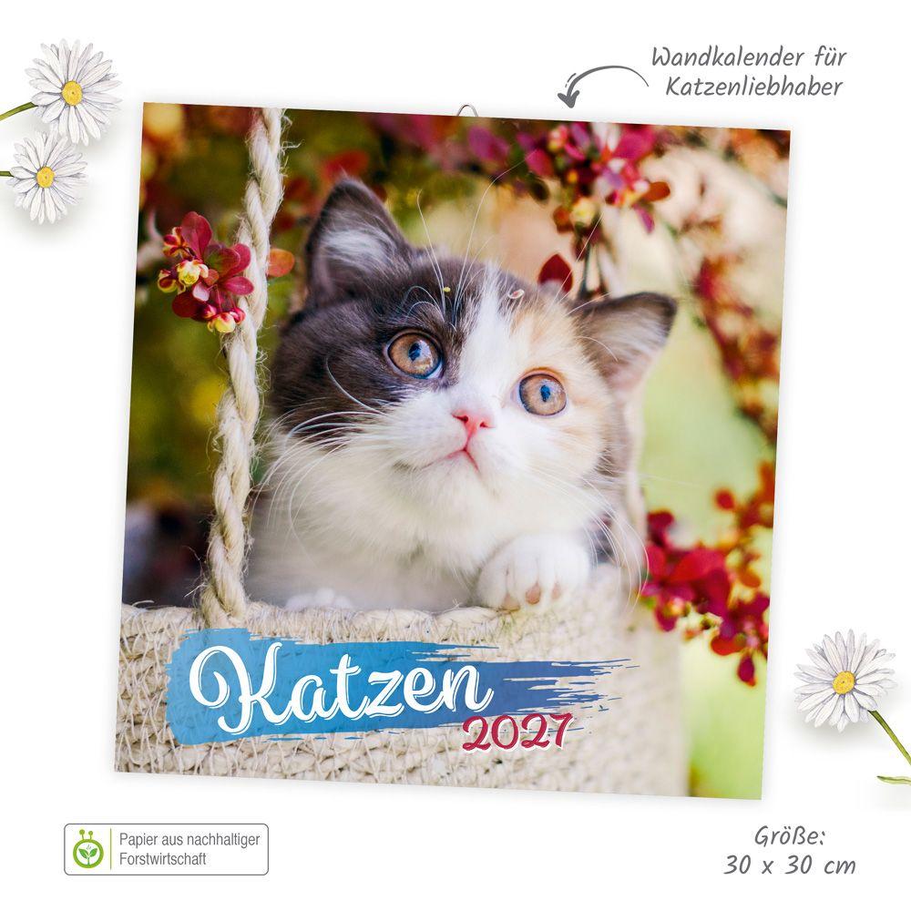 Beispielinhalt (Bild) TRÖTSCH - Broschürenkalender Katzen 2027