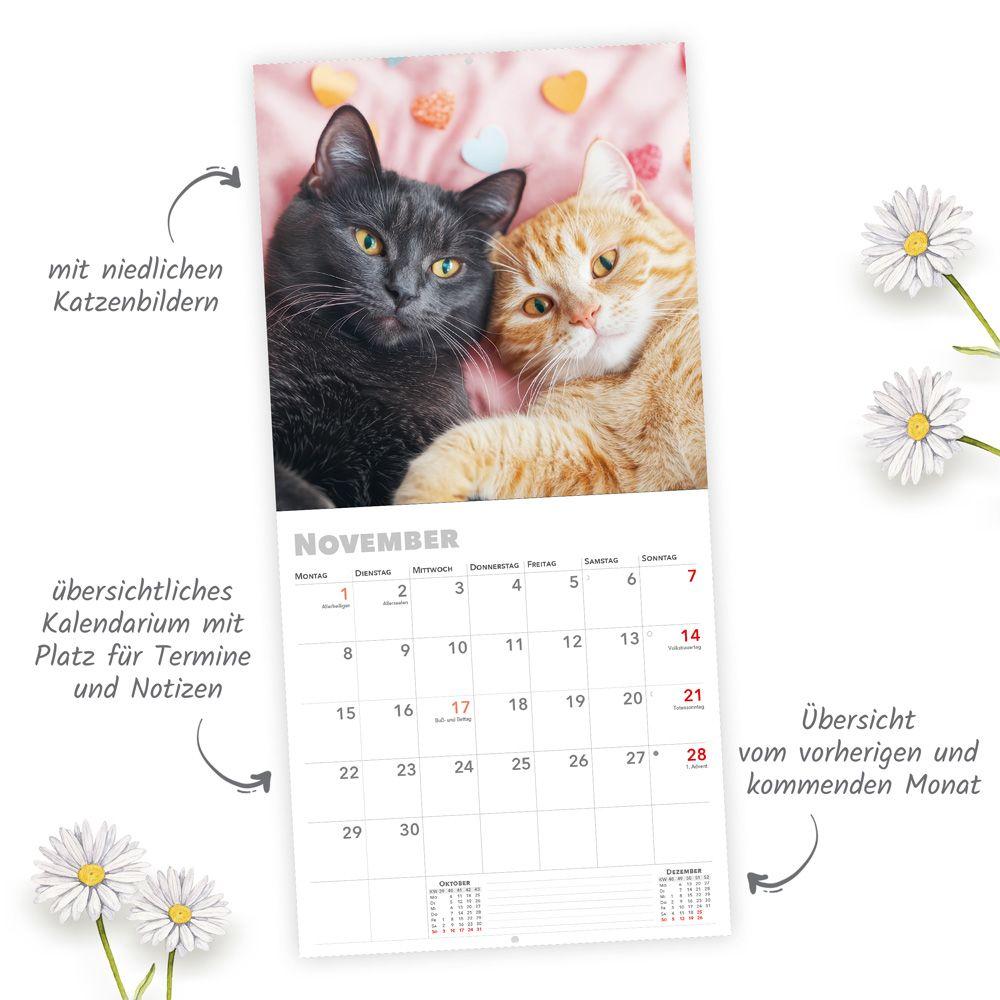 Beispielinhalt (Bild) TRÖTSCH - Broschürenkalender Katzen 2027